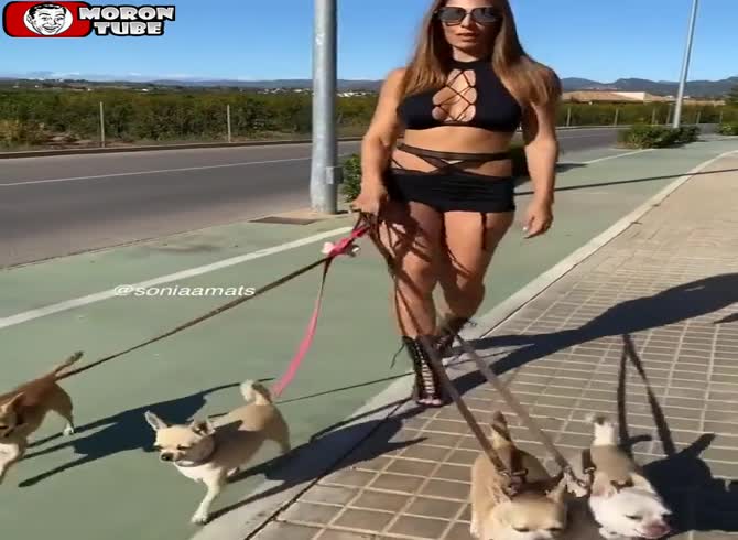 Video :Since confinement, taking your dog outside has been the most popular activity